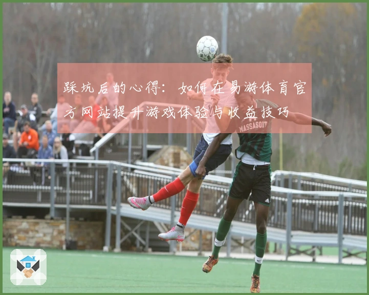 踩坑后的心得：如何在易游体育官方网站提升游戏体验与收益技巧