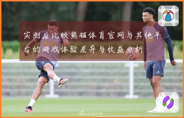 实测后比较熊猫体育官网与其他平台的游戏体验差异与收益分析